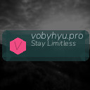 vobyhyu.pro